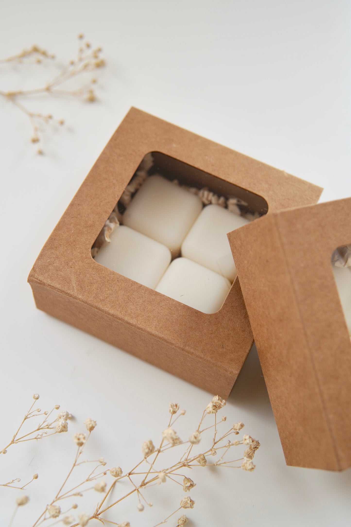 Wax Melts - Set