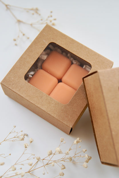 Wax Melts - Set