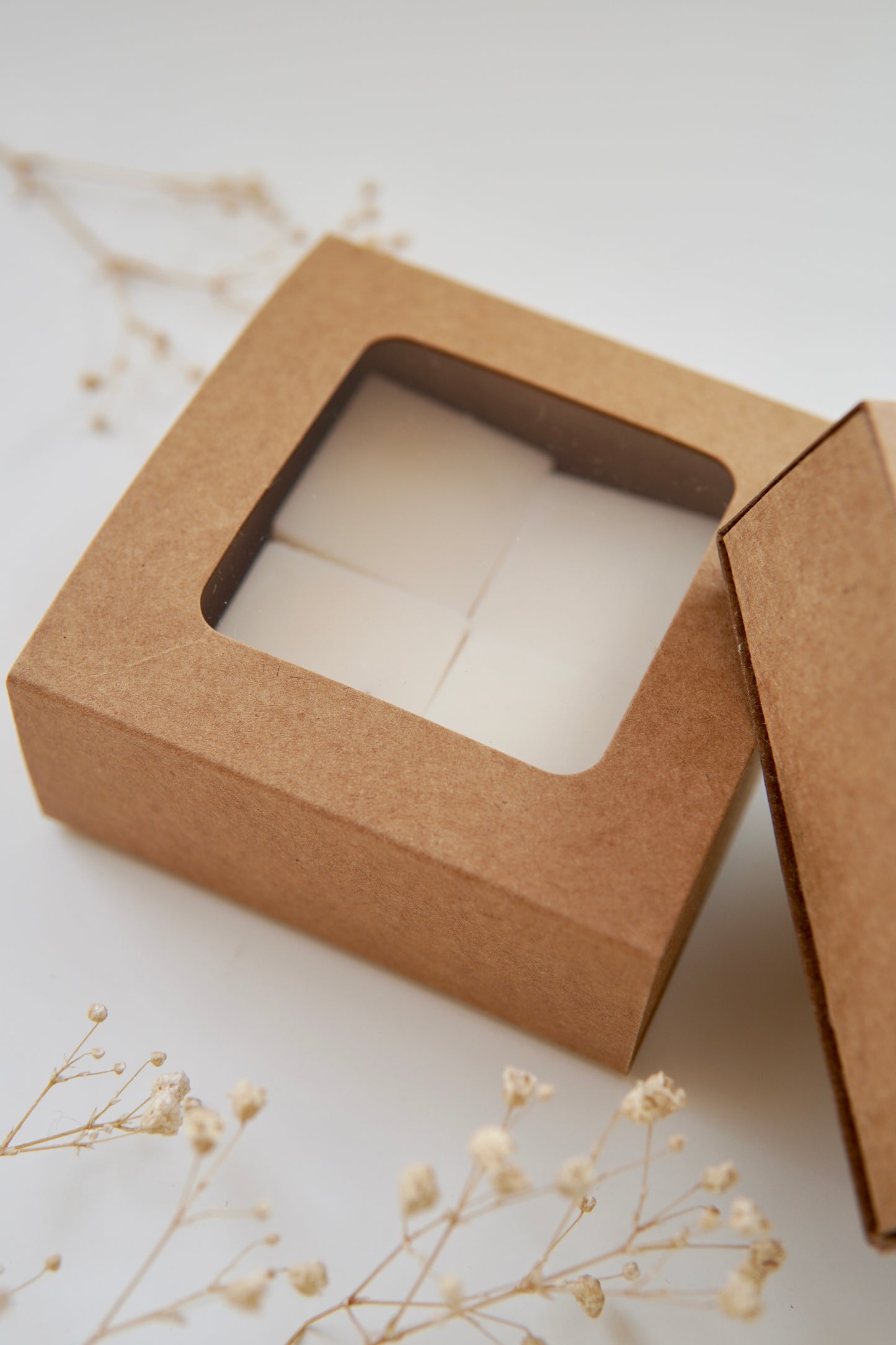 Wax Melts - Set